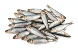 whole mini sardine