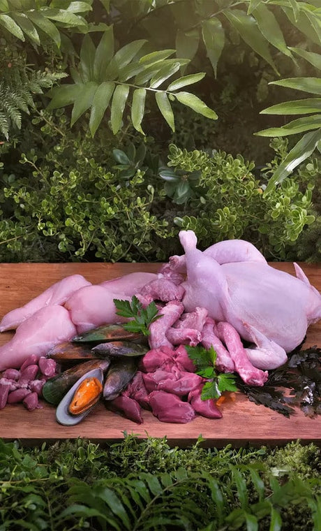 Ziwi Peak Chicken for Dogs displayed as raw, air-dried ingredients: plucked bird, offal, mussels, herbs, highlighting its natural, nutrient-rich composition.