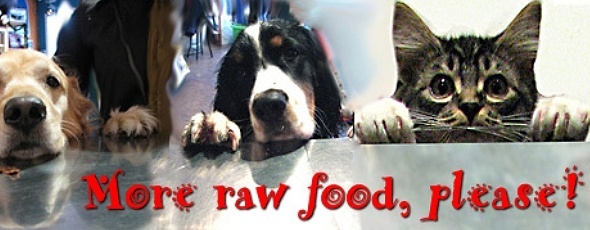 CARNIVORE raw dog food