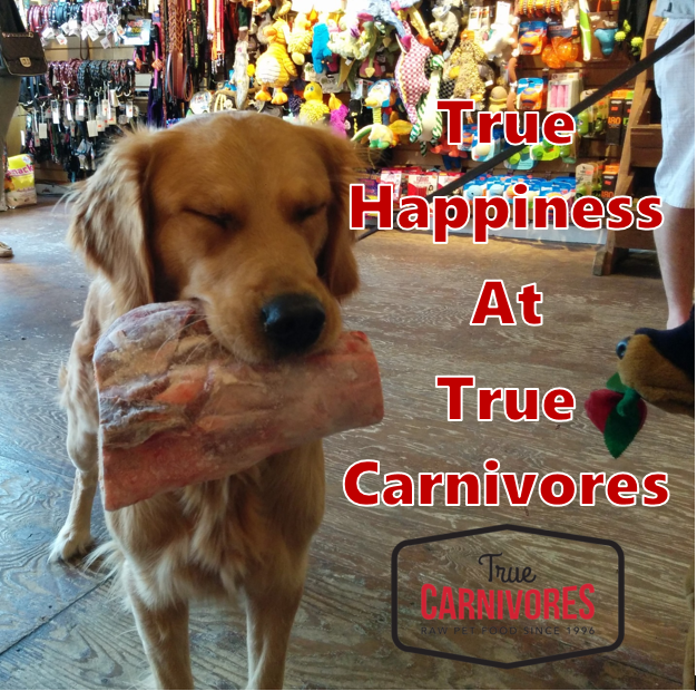 dog raw bone true carnivores