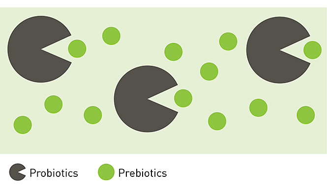 probiotics-prebiotics