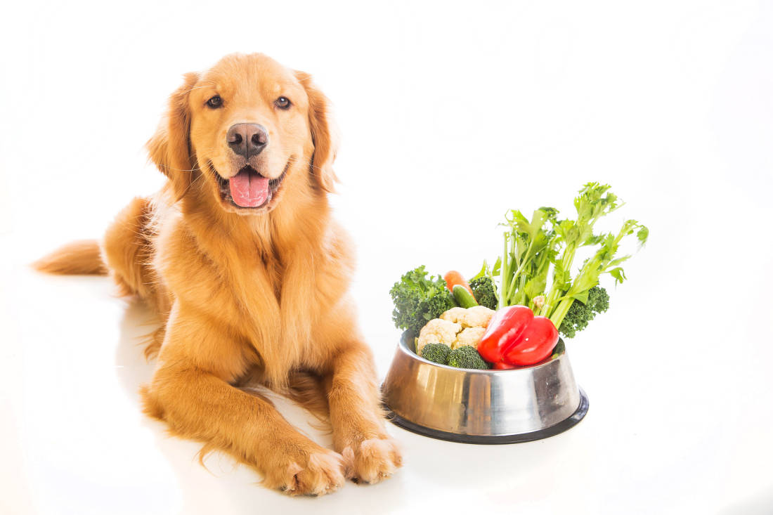 A beautiful golden retriever dog with a smile on his face laying next to a bowl of fresh vegetables.