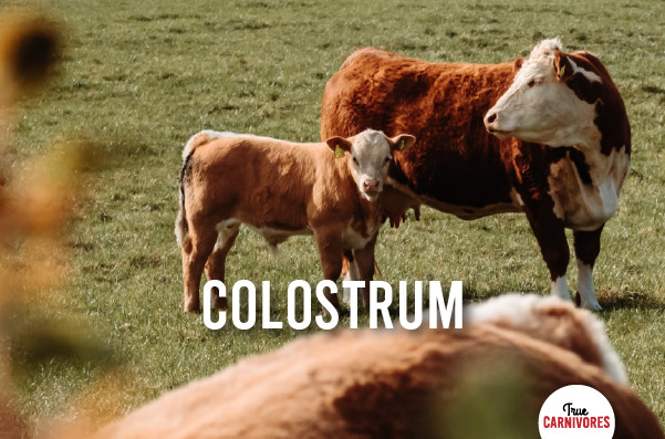 Colostrum blog post