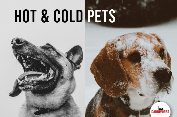 hot and cold pets