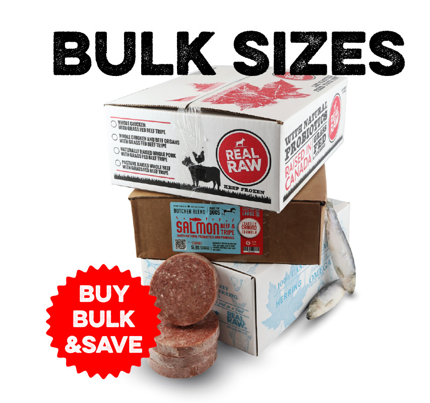bulk sizes buy