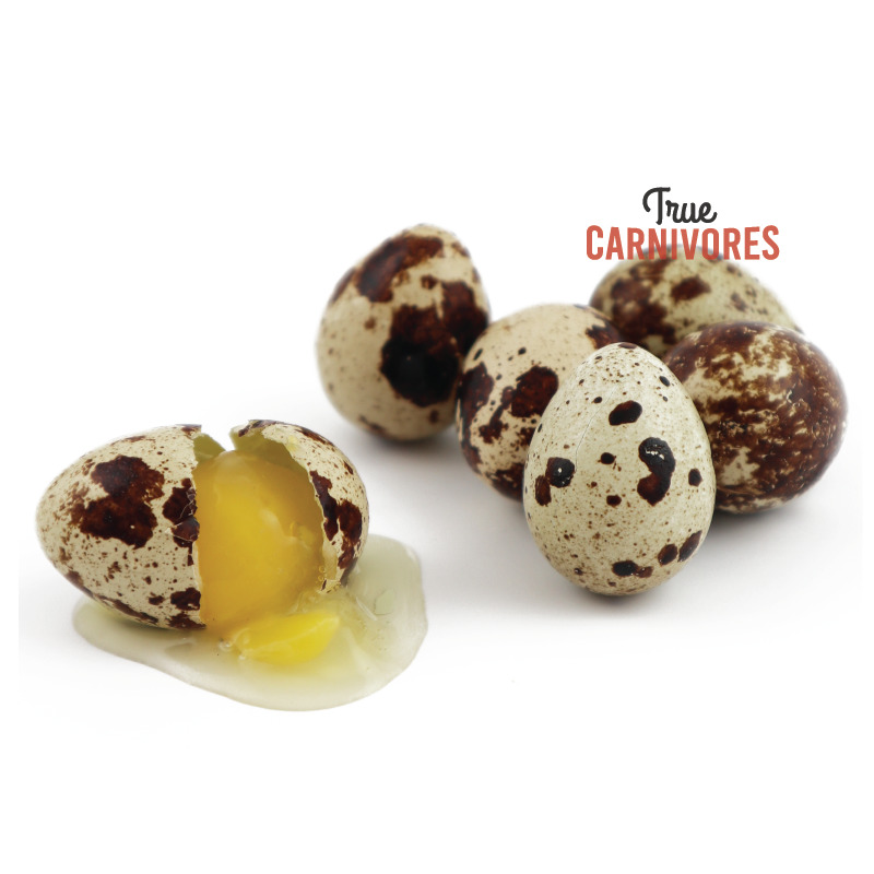 Real Raw Quail Eggs 18 pack Canadian True Carnivores