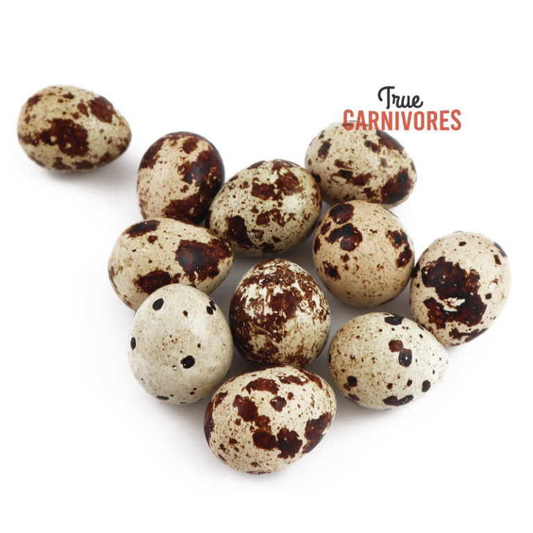 Real Raw Quail Eggs 18 pack Canadian True Carnivores