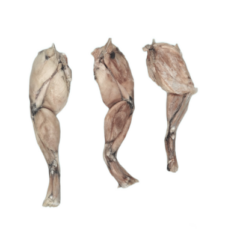 Cryogenically Freeze Dried Frog Legs